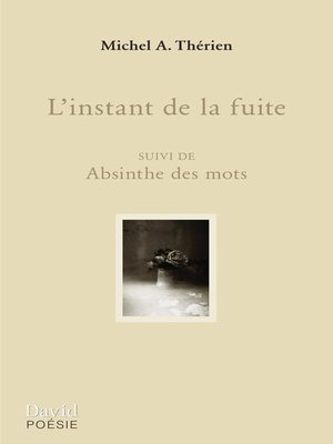 cover image of L'instant de la fuite
